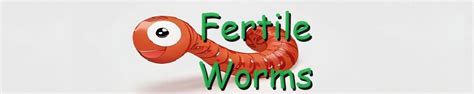 Mealworm Farming for Beginners – Complete Guide - fertileworms.com