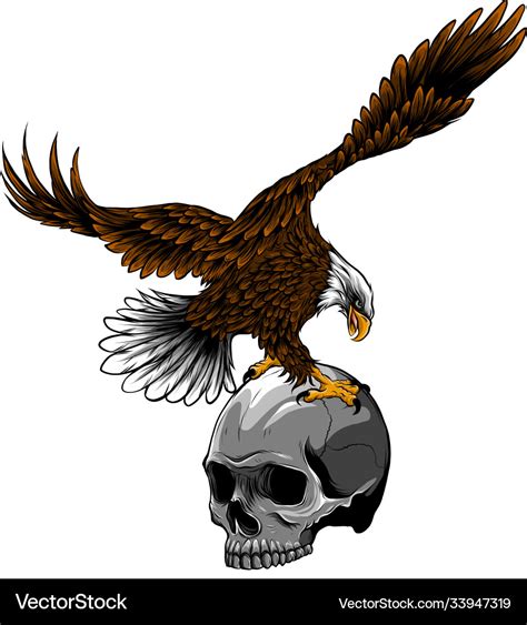 Eagle and skull design art Royalty Free Vector Image