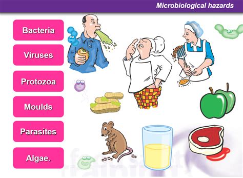 Microbiological Hazards – Food Safety Training