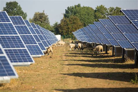 Factcheck: Is solar power a ‘threat’ to UK farmland? - Carbon Brief