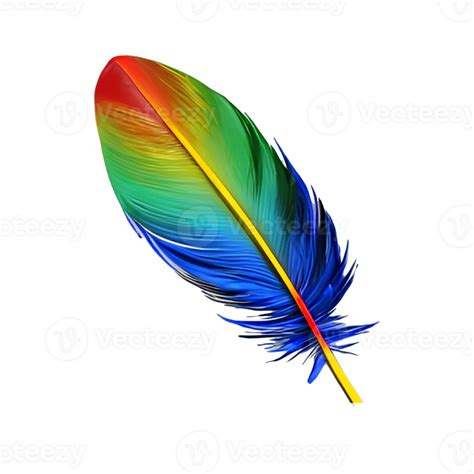 colorful bird feather 21357770 PNG