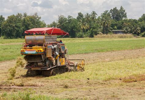 A Tractor Harvesting the Crops Stock Photo - Image of farming ...