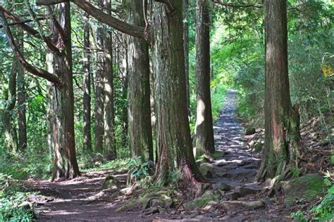 Hakone Hiking: 3 Stunning Trails for the Adventurous | Tokyo Cheapo