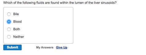 What Is Lumen Anatomy - Anatomy Book