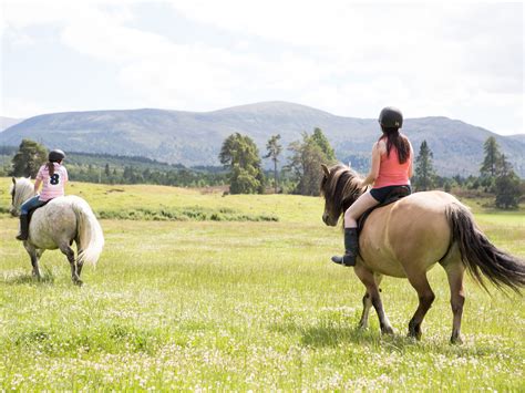 Things to do in Aviemore and Cairngorms National Park | Go Self Catered