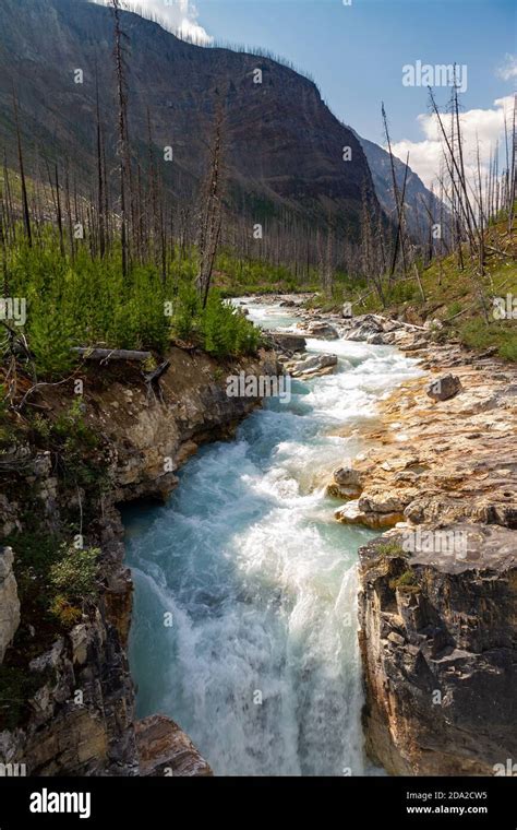 Marble Canyon, Banff National Park, Canada Stock Photo - Alamy