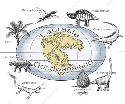 Laurasia and Gondwana, Illustration - Stock Image - C033/5447 - Science ...