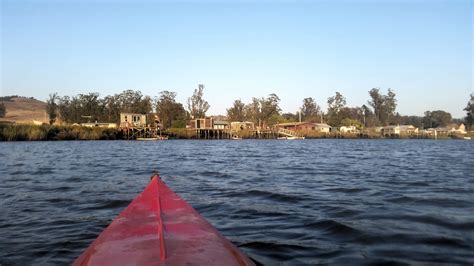 Kayaking Around Petaluma - Dave's Raves