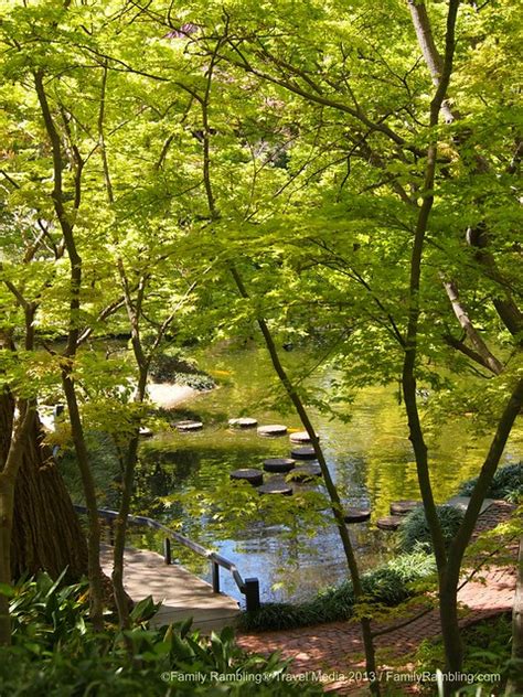 The Japanese Garden in Fort Worth | Family Rambling