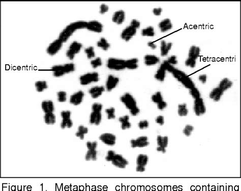 Figure 2 from Biological Dosimetry of Co-60 Gamma Irradiation. | Semantic Scholar