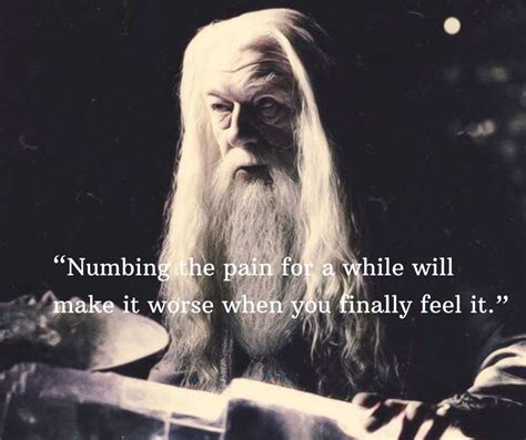 Best Dumbledore quotes to inspire you Legit.ng