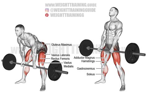 Barbell sumo Romanian deadlift exercise instructions and video in 2021 ...