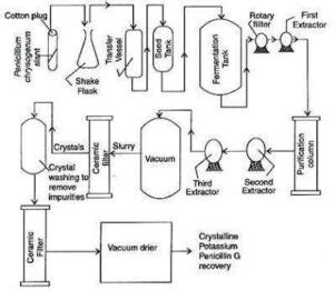 Penicillin: History, Structure, Production and Recovery