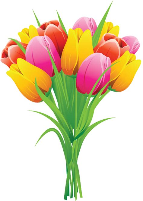 Цветы в PNG 1 | Spring flowers, Flower clip, Free flower clipart