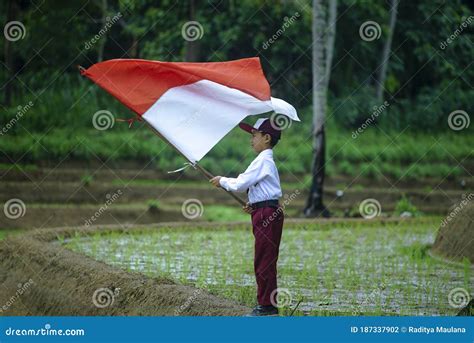 Indonesia Independence Day Celebration Concept Editorial Photography ...