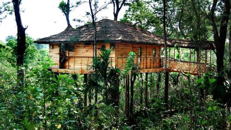 Tranquil Resort, Wayanad Wayanad tree house villa exterior tranquil resort kerala | Tree house ...