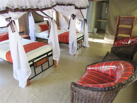 Top 10 budget camps in the Maasai Mara - Against the Compass