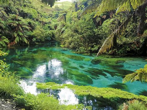 Discovering Putaruru’s Blue Springs