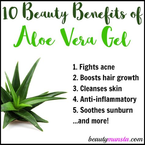 10 Beauty Benefits of Aloe Vera Gel for Beautiful Hair & Skin ...