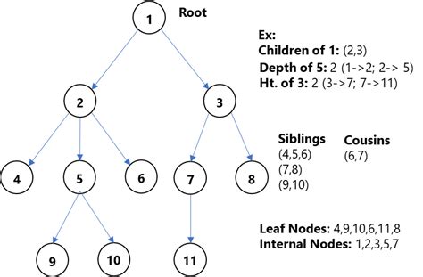 Understanding Binary Trees Part 1