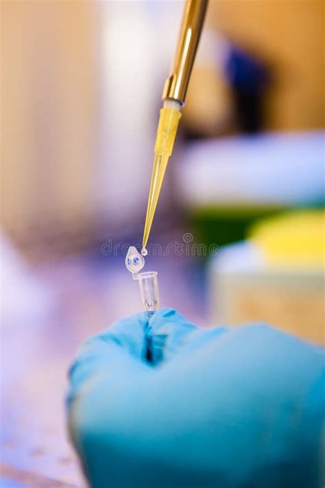 Biological Sample Preparation Stock Photo - Image of science, vial: 24832004