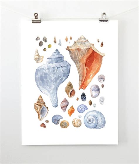 Seashell Painting