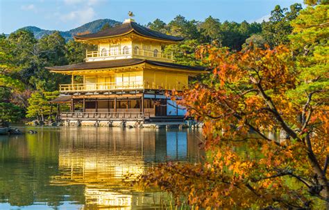 Travelling to Kyoto? Avoid overcrowded tourist hotspots with new online ...