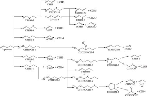 Major reaction branches of 1-pentene oxidation. | Download Scientific ...