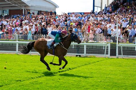 Leicester Racecourse | Sports and Activity in Leicester