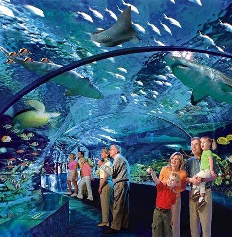 Ripley to open Toronto aquarium this summer | Architecture and design news | CLADglobal.com