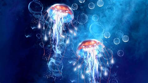 Glowing Jellyfish Wallpapers (67+ images)