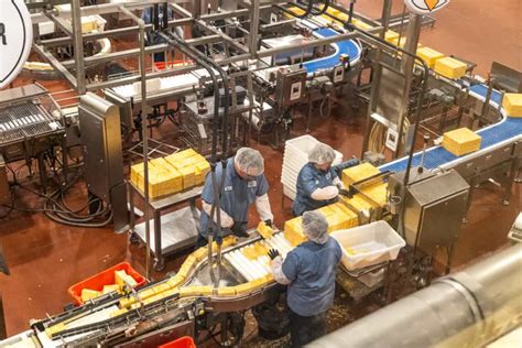 Tillamook Cheese Factory Tour: This is What You Need to Know | The Stoke Fam