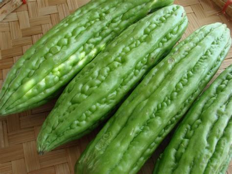 Amazing Health Benefits of Ampalaya or Bitter Gourd