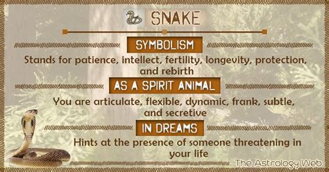 What Does The Snake Symbolizes - Design Talk