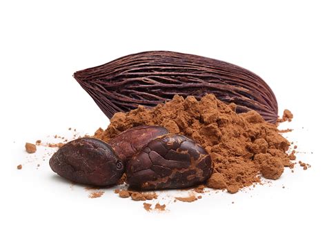 Raw Organic Cacao Powder vs cocoa vs chocolate - Bluelilyorganics