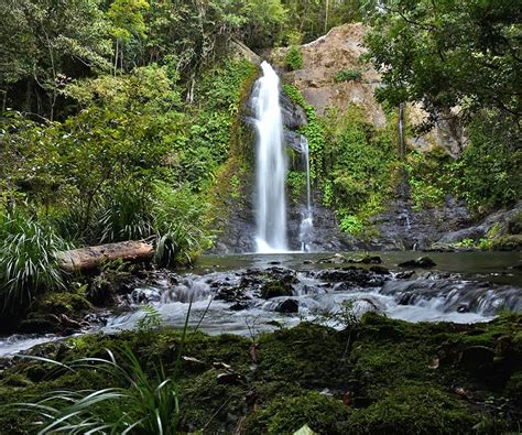 Cassowary Falls - A Place To Stay & Explore - Daintree Rainforest