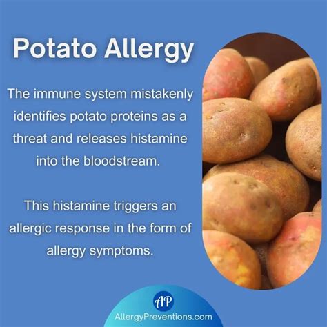 Potato Allergy Insights: Symptoms, Treatment, and Prevention