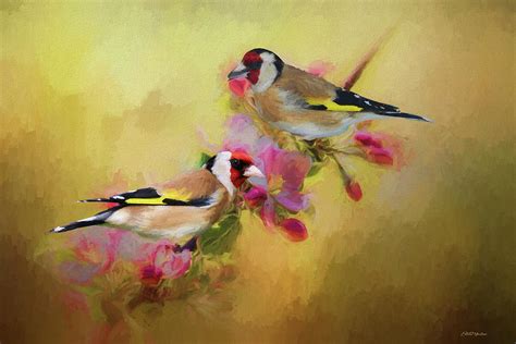 European Goldfinch - Painting Painting by Ericamaxine Price - Fine Art ...