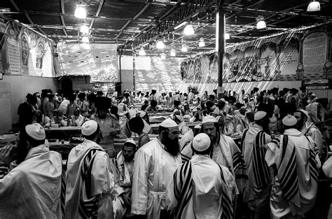 Sukkot Prayers Photograph by Sergey Furman - Fine Art America