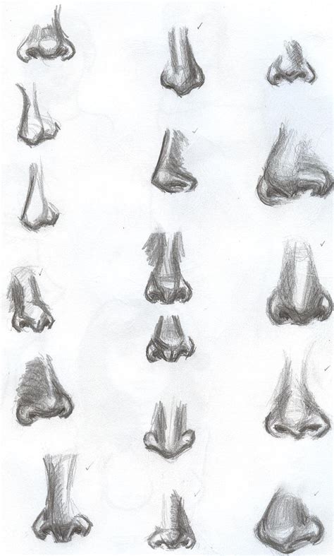 Types Of Noses Drawing | My XXX Hot Girl