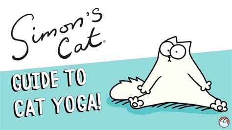 Ultimate Cat Yoga - Simon's Cat - We Love Cats and Kittens