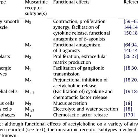 Muscarinic receptor subtypes and their function in airway structural ...