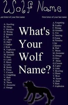 (female) What Is Your Wolf Name? - ProProfs Quiz