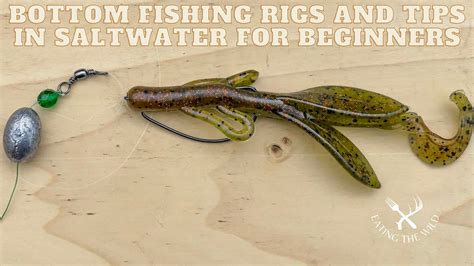 Bottom Fishing Rigs and Tips in Saltwater for Beginners - eatingthewild.com