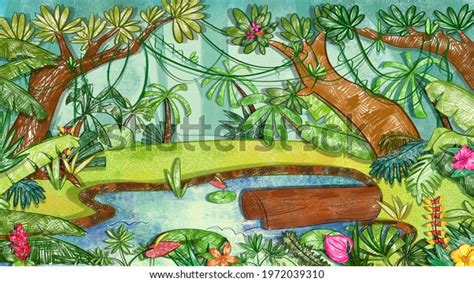 Amazon Rainforest Jungle Pond Wildlife Clean Stock Illustration 1972039310 | Shutterstock