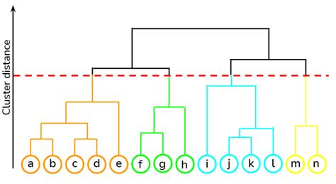 Hierarchical clustering explained