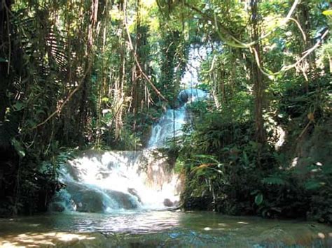 eco-tour-enchanted-gardens-jamaica