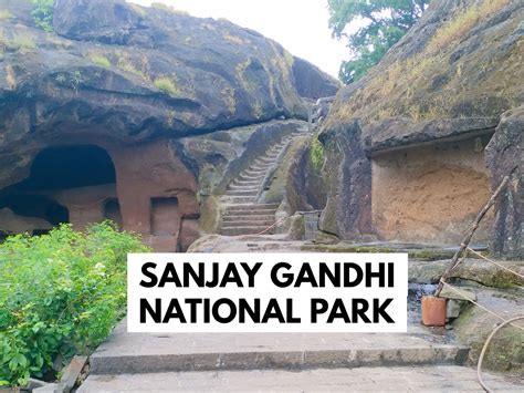 A complete guide to Sanjay Gandhi National Park | Sanjay gandhi national park, National parks ...