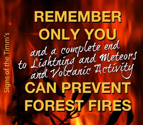 "Remember only YOU can prevent forest fires...". Forest fires are natural! | Forest fire, Happy ...