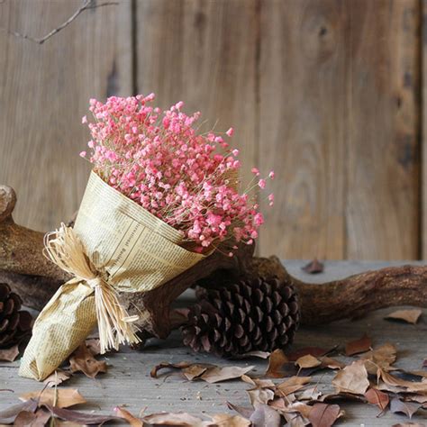 Natural Dried Flower Home Decor Natural Dried Flower Full Stars ...